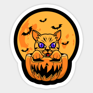 HALLOWEEN FUNNY CAT Sticker